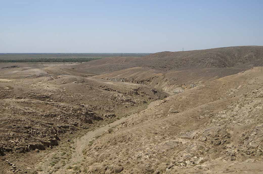 Between Bustan and Nukus