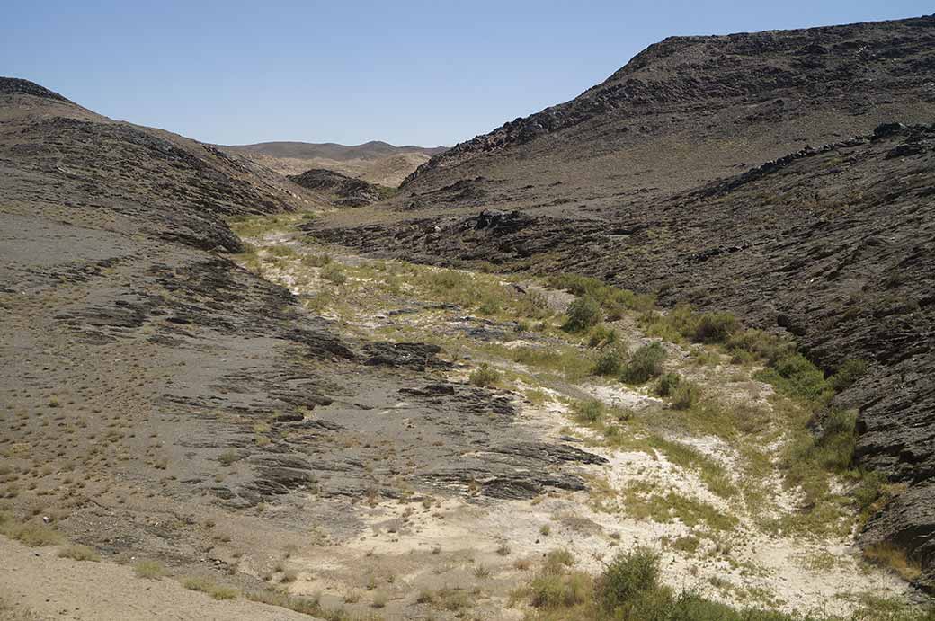 Between Bustan and Nukus