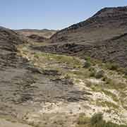 Between Bustan and Nukus