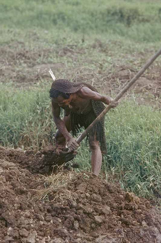 Preparing the ground