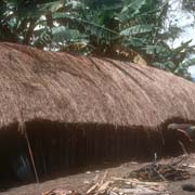 Longhouse, Aikima