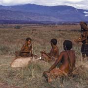 Women of Wakatu