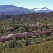 Huts, Hepoba