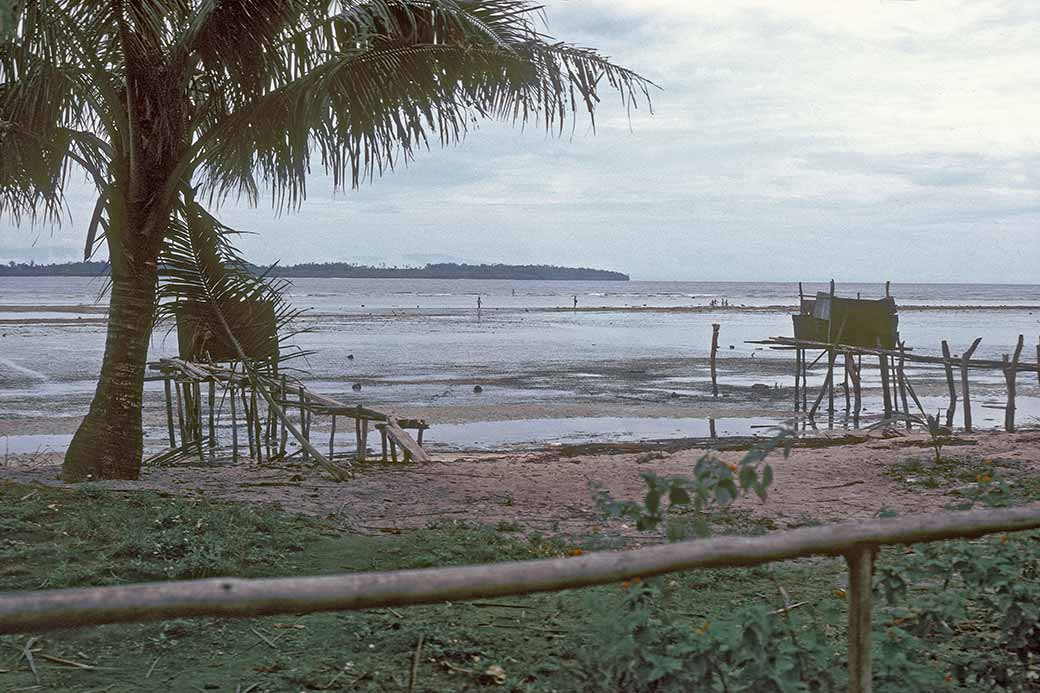 Coast of Biak