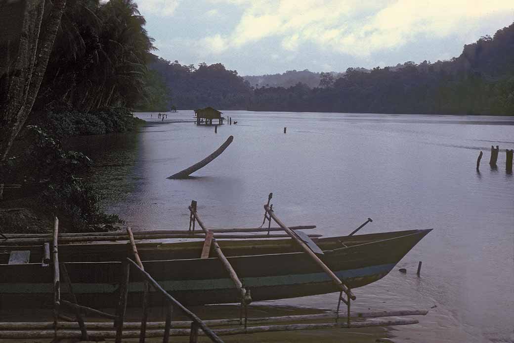 River with canoes