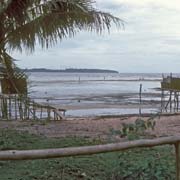 Coast of Biak