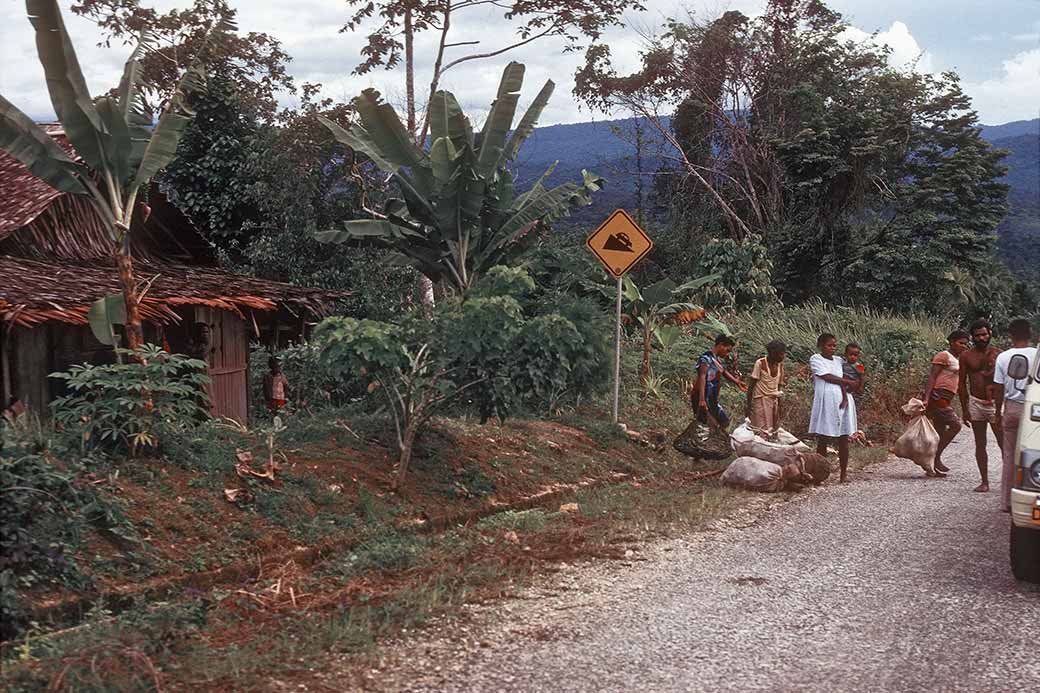 Road near Genyem