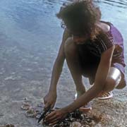 Cleaning sea urchins