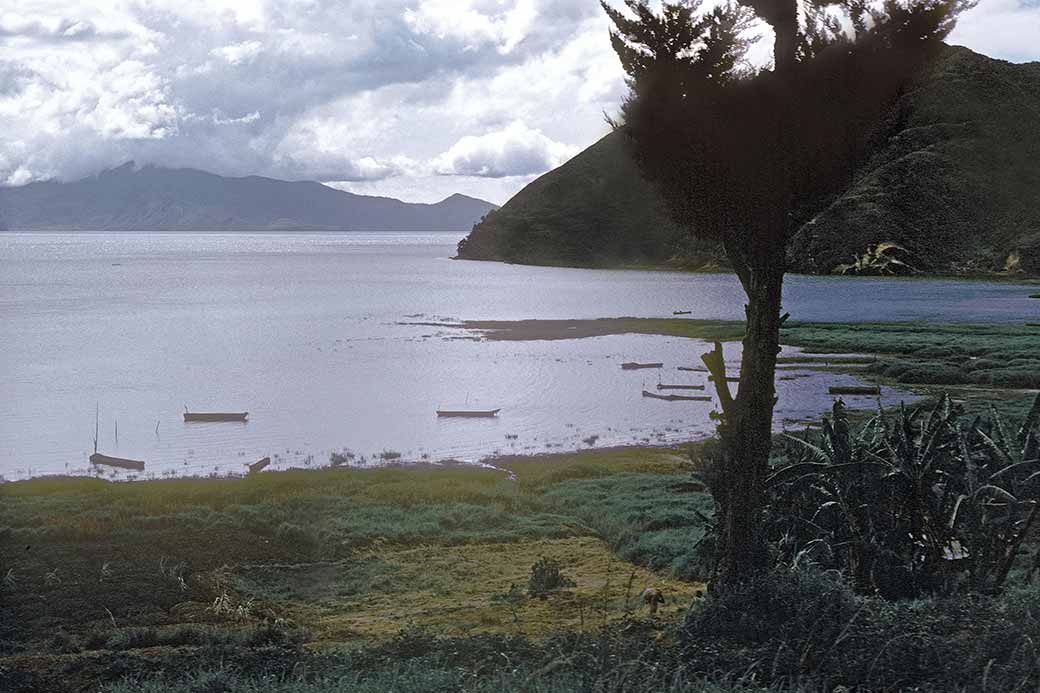 Danau Paniai