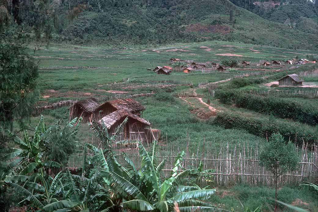 View near Timida