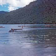 Canoes, Wotai