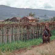 Path to Amogibuto