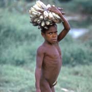 Carrying bananas