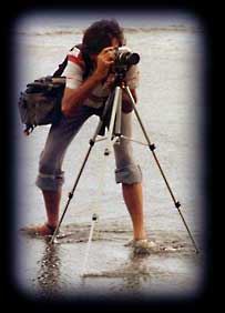 The Photographer