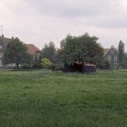 Farms in Vormer
