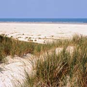 Boschplaat beach